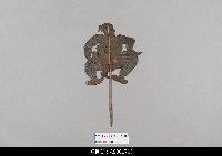 藏品(泰國小檯皮影戲偶)的圖片